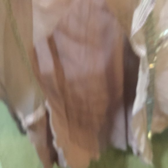 Maurice size 2 blush pink strappy top with beads on the front sheer layer - Picture 5 of 7